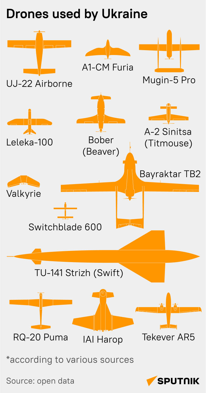 Ukraine drones mob - Sputnik International