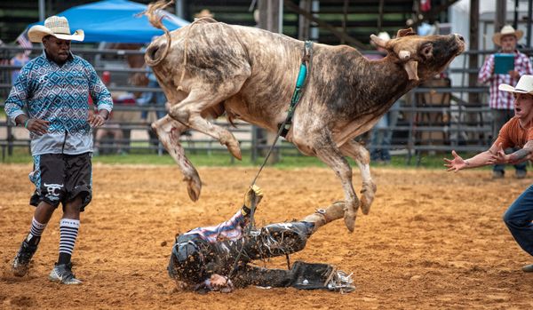 A bull throws its rider off during the God and Country rodeo held at the Hayseed Cowboy church on 4 July 2020, in Thaxton, Mississippi. A bull throws its rider off during the God and Country rodeo held at the Hayseed Cowboy church on 4 July 2020, in Thaxton, Mississippi. - Sputnik International