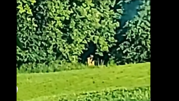 Mysterious Minnesota Creature - Sputnik International