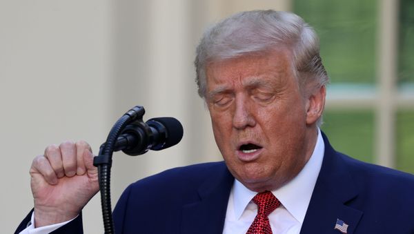 U.S. President Donald Trump attends a news conference in the Rose Garden at the White House in Washington, U.S., July 14, 2020.  - Sputnik International