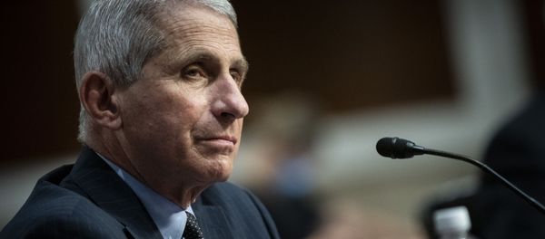 Director of the National Institute of Allergy and Infectious Diseases Dr. Anthony Fauci listens during a Senate Health, Education, Labor and Pensions Committee hearing on Capitol Hill in Washington, Tuesday, June 30, 2020 - Sputnik International