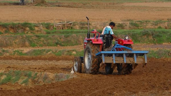 Traktor India - Sputnik International