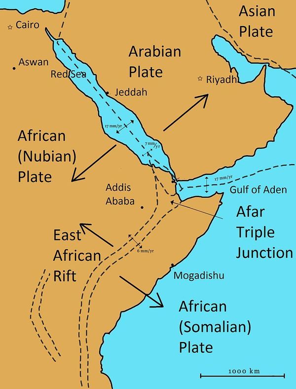 The African Continent is Breaking Apart as a New Ocean is About to Flood Over the Afar Region - Sputnik International