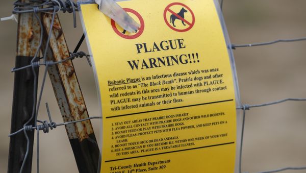 A closed sign is displayed at a parking lot near the Rocky Mountain Arsenal Wildlife Refuge, Saturday, Aug. 10, 2019, in Commerce City, Colo. Prairie dogs and other wild rodents in the area may be infested with a plague that can be transmitted to humans.  - Sputnik International