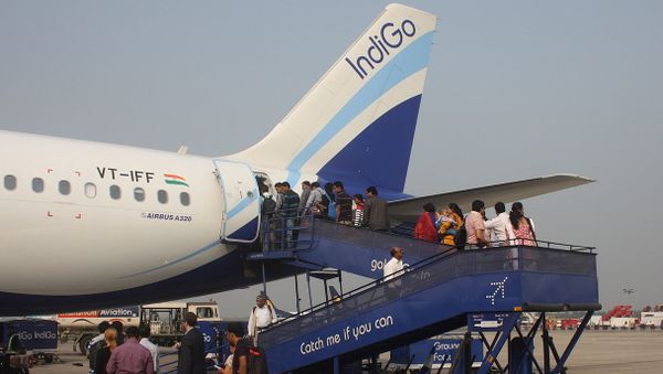 IndiGo - Sputnik International