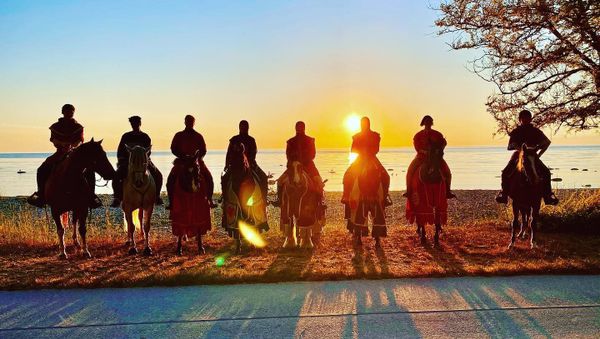 Knights from Swedish reenactment group Torneamentum - Sputnik International