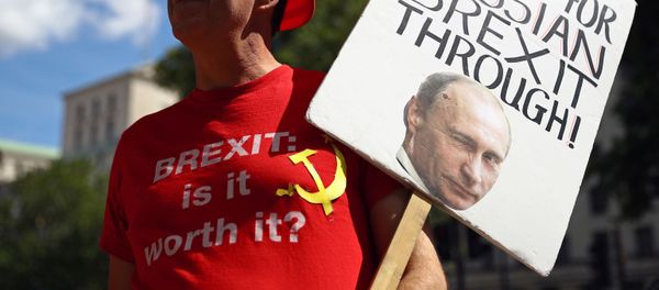 Anti-Brexit demonstrator Steve Bray holds a placard as he protests outside Downing Street in London, Britain, July 21, 2020 - Sputnik International
