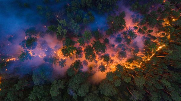An aerial view shows a forest fire in Krasnoyarsk Region, Russia July 17, 2020 An aerial view shows a forest fire in Krasnoyarsk Region, Russia July 17, 2020 - Sputnik International