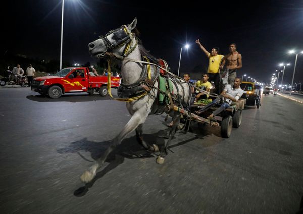 Egyptian merchants are seen in action during a horse cart race showing off their horses's strengths, following the outbreak of the coronavirus disease (COVID-19), in Cairo, Egypt July 17, 2020 Egyptian merchants are seen in action during a horse cart race showing off their horses's strengths, following the outbreak of the coronavirus disease (COVID-19), in Cairo, Egypt July 17, 2020 - Sputnik International