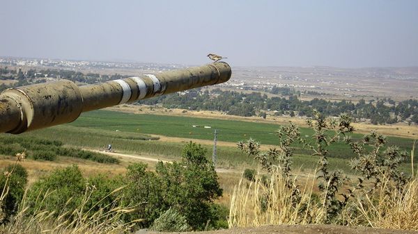 Israel-Syria border - Sputnik International