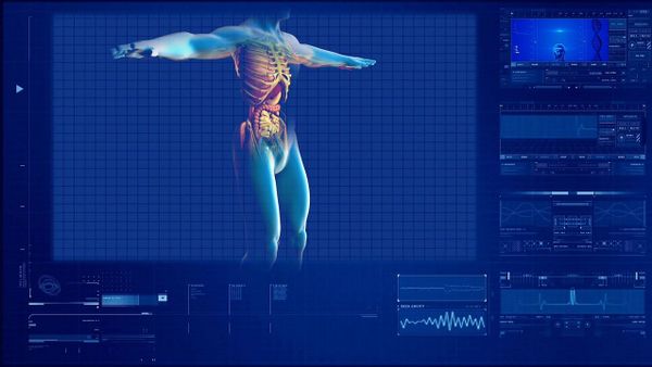 Structural Organization of the Human Body - Sputnik International
