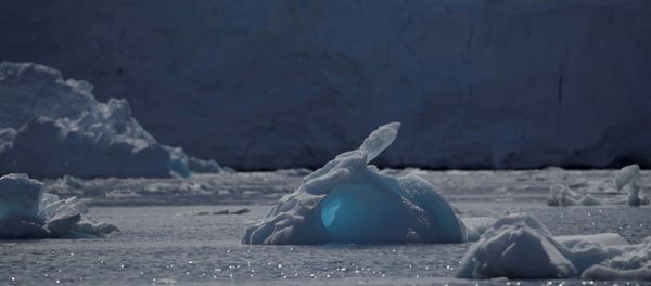 An iceberg floats along the water, close to Fournier Bay, Antarctica, 3 February 2020 An iceberg floats along the water, close to Fournier Bay, Antarctica, 3 February 2020 - Sputnik International