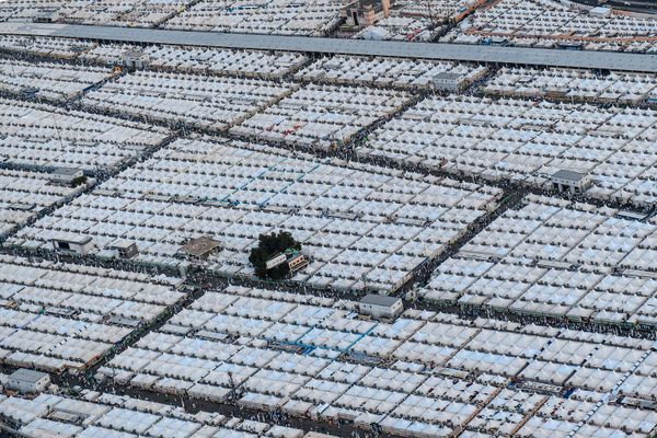Hajj Amid Pandemic: What Will Be Different About This Year's Pilgrimage to Mecca? Hajj Amid Pandemic: What Will Be Different About This Year's Pilgrimage to Mecca? - Sputnik International