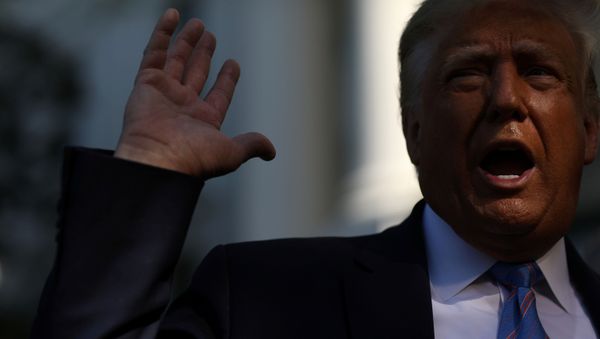 U.S. President Donald Trump speaks to the news media before departing on Marine One for travel to Midland, Texas from the South Lawn of the White House in Washington, U.S., July 29, 2020 - Sputnik International