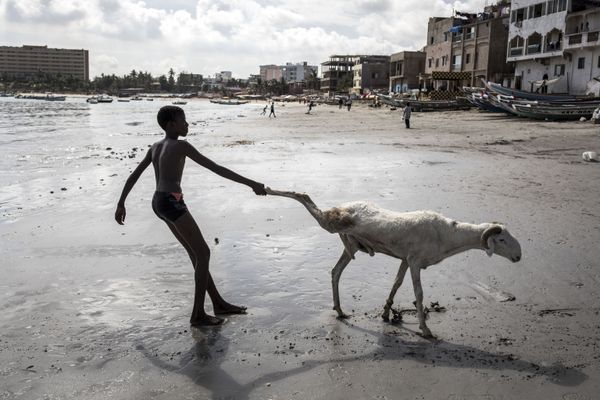 This Week in Pictures: 25 - 31 July This Week in Pictures: 25 - 31 July - Sputnik International