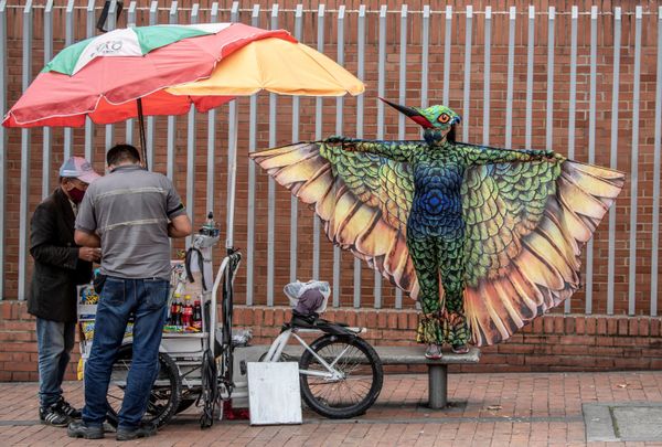 This Week in Pictures: 25 - 31 July This Week in Pictures: 25 - 31 July - Sputnik International