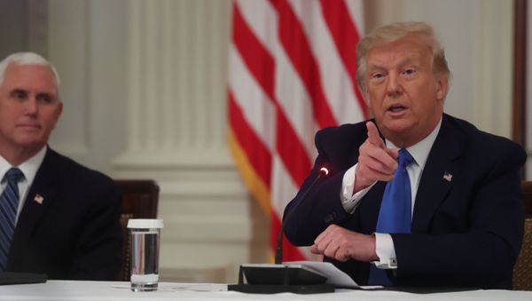 U.S. President Donald Trump speaks next to Vice President Mike Pence during an event celebrating law enforcement in the East Room of the White House in Washington, U.S., July 13, 2020 - Sputnik International
