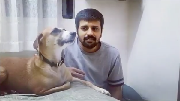 Dog and Master perform classic duet - Sputnik International