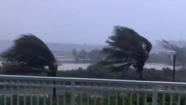 Trees are buffeted by strong winds as Hurricane Isaias hits the Bahamas July 31, 2020 in this still image taken from social media video, filmed from the Grand Isle Resort and Spa at Emerald Bay, Great Exuma. Twitter @ByJeffTodd via REUTERS THIS IMAGE HAS BEEN SUPPLIED BY A THIRD PARTY. MANDATORY CREDIT. NO RESALES. NO ARCHIVES - Sputnik International