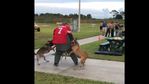 Navy SEAL Museum in Fort Pierce used “Colin Kaepernick stand-in for K-9 demonstration at fundraiser last year - Sputnik International