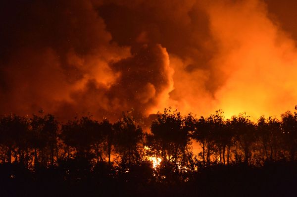 Top-5 Deadliest Ammonium Nitrate-Related Accidents as Monstrous Explosion Rips Through Beirut - Sputnik International