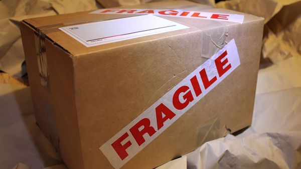Parcel - Sputnik International