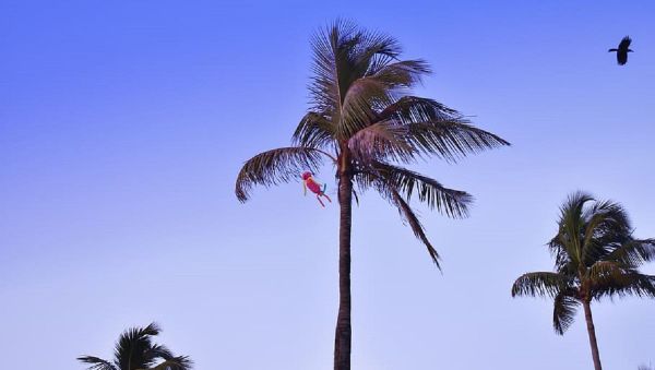 Palms. Mumbai - Sputnik International