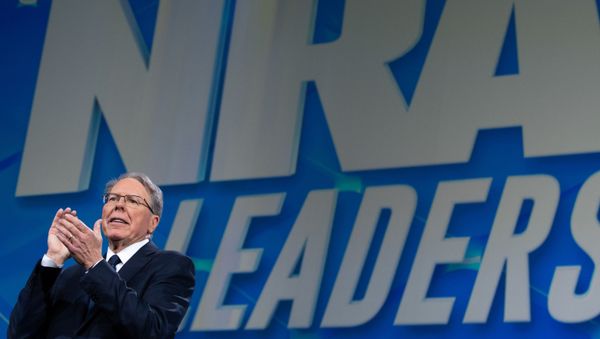 Wayne LaPierre, Executive Vice President and Chief Executive Officer of the NRA - Sputnik International