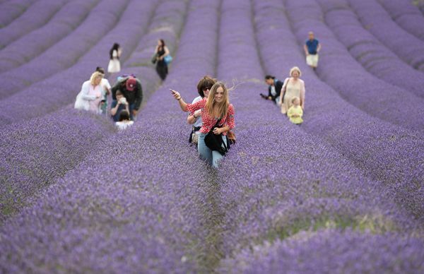 This Week in Pictures: 1 - 7 August This Week in Pictures: 1 - 7 August - Sputnik International