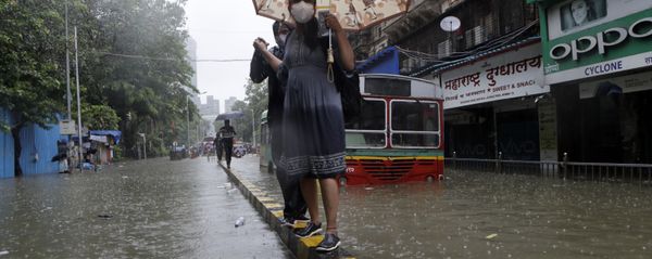 Rain in India Rain in India - Sputnik International