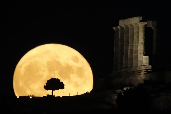 This Week in Pictures: 1 - 7 August This Week in Pictures: 1 - 7 August - Sputnik International