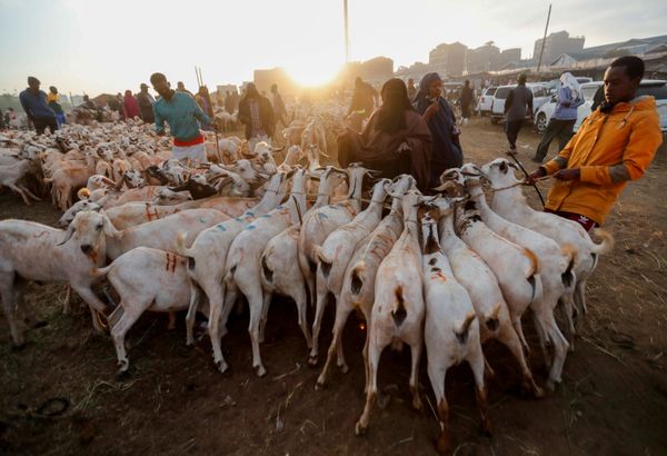 This Week in Pictures: 1 - 7 August This Week in Pictures: 1 - 7 August - Sputnik International