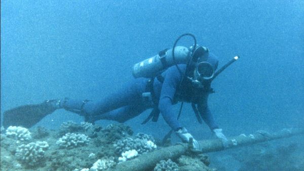 Diver Checking Underwater Protection of Cable Diver Checking Underwater Protection of Cable - Sputnik International