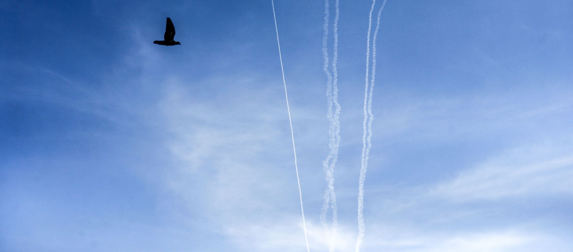 This picture taken on August 10, 2020 from Gaza City shows a bird flying while behind are seen smoke trails from test rockets fired by the Palestinian Islamist Hamas movement which currently controls the Gaza Strip, as part of military drills. This picture taken on August 10, 2020 from Gaza City shows a bird flying while behind are seen smoke trails from test rockets fired by the Palestinian Islamist Hamas movement which currently controls the Gaza Strip, as part of military drills. - Sputnik International, 1920, 28.08.2020