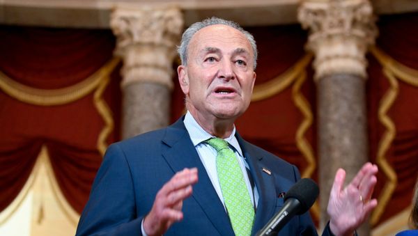 U.S. Senate Minority Leader Chuck Schumer, joined by Speaker of the House Nancy Pelosi, speaks to reporters in the U.S. Capitol in Washington, U.S. July 29, 2020. U.S. Senate Minority Leader Chuck Schumer, joined by Speaker of the House Nancy Pelosi, speaks to reporters in the U.S. Capitol in Washington, U.S. July 29, 2020. - Sputnik International