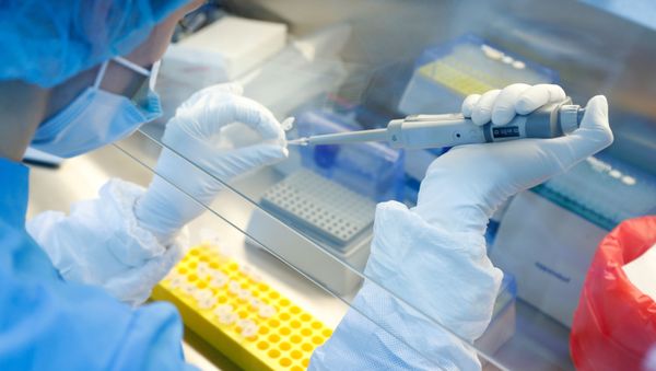 A scientist prepares samples during the research and development of a vaccine against the coronavirus disease (COVID-19) at a laboratory of BIOCAD biotechnology company in Saint Petersburg, Russia June 11, 2020 - Sputnik International