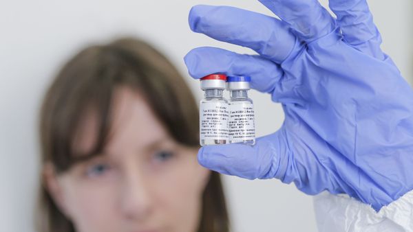 In this handout photo released by Russian Direct Investment Fund and the Gamaleya Scientific Research Institute of Epidemiology and Microbiology, a scientist holds phials.  - Sputnik International