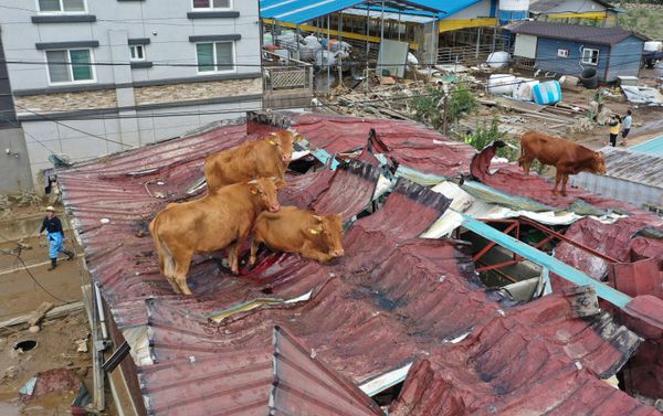 This Week in Pictures: 8-14 August - Sputnik International