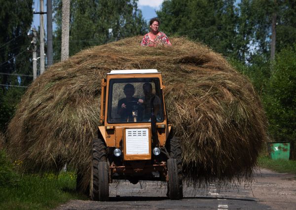 This Week in Pictures: 8-14 August - Sputnik International