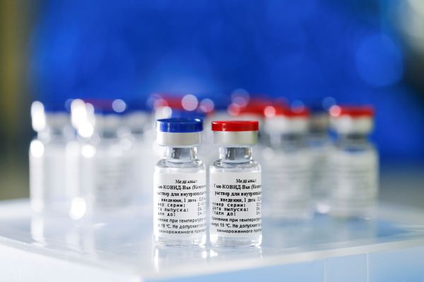 Russia Will Start Mass Vaccination Against COVID-19 in a Month, Gamaleya Centre Chief Tells Sputnik - Sputnik International