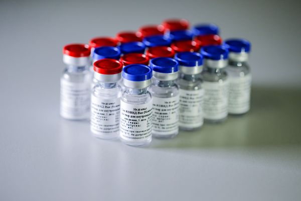 26 COVID-19 Vaccines Under Development in Russia, Public Health Chief Says - Sputnik International