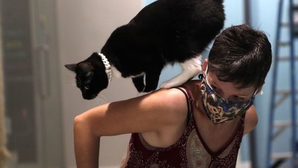 A cat named Bonnie walks on the shoulder of Rachel Romero, who wears a protective face covering as she works as a volunteer at the Cat Cafe South Beach, during the coronavirus pandemic, Wednesday, July 29, 2020, in Miami Beach, Fla. The cafe offers a place for cat lovers to spend time with cats, which are also available for adoption. The business, independently owned by Celyta Jackson, will be closing at the end of the week as the tourism sector in Miami-Dade County is suffering due to the pandemic - Sputnik International