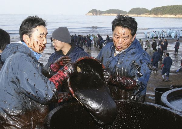 Local residents use baskets to remove dense crude oil at Mallipo beach, South Korea on 9 December 2007 following a devastating oil spill. Local residents use baskets to remove dense crude oil at Mallipo beach, South Korea on 9 December 2007 following a devastating oil spill. - Sputnik International