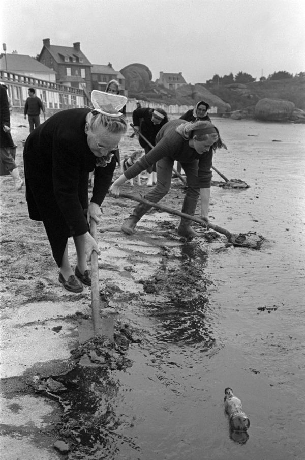 Soldiers and volunteers clean up an oil slick on 14 April 1967 on the beach at Tregastel. Soldiers and volunteers clean up an oil slick on 14 April 1967 on the beach at Tregastel. - Sputnik International