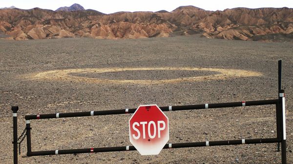 This Jan. 2019 photo provided by the U.S. National Park Service shows vehicle tracks in an area of Death Valley National Park, Calif. - Sputnik International