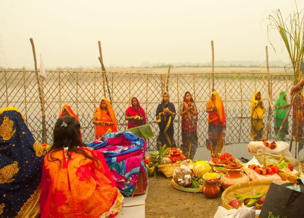 World Photography Day: Visiting Yamuna River to Capture Its Pristine Glory in Delhi - Sputnik International