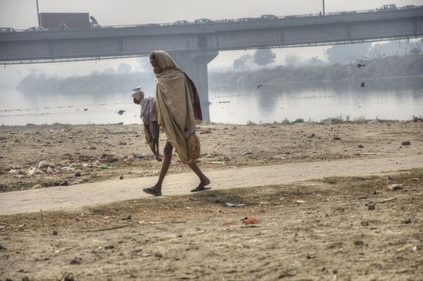 World Photography Day: Visiting Yamuna River to Capture Its Pristine Glory in Delhi - Sputnik International