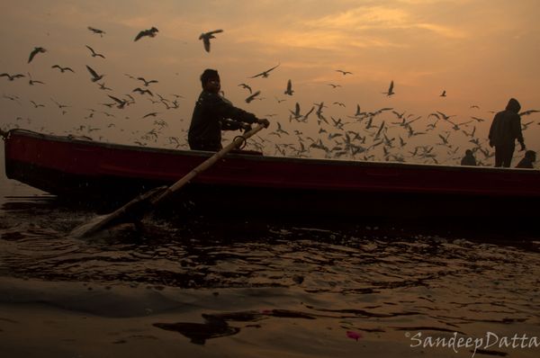 World Photography Day: Visiting Yamuna River to Capture Its Pristine Glory in Delhi - Sputnik International
