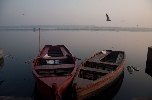 World Photography Day: Visiting Yamuna River to Capture Its Pristine Glory in Delhi - Sputnik International