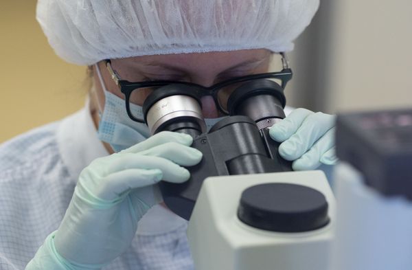 Much-Needed Cure for COVID-19: Vaccine Production Process Much-Needed Cure for COVID-19: Vaccine Production Process - Sputnik International
